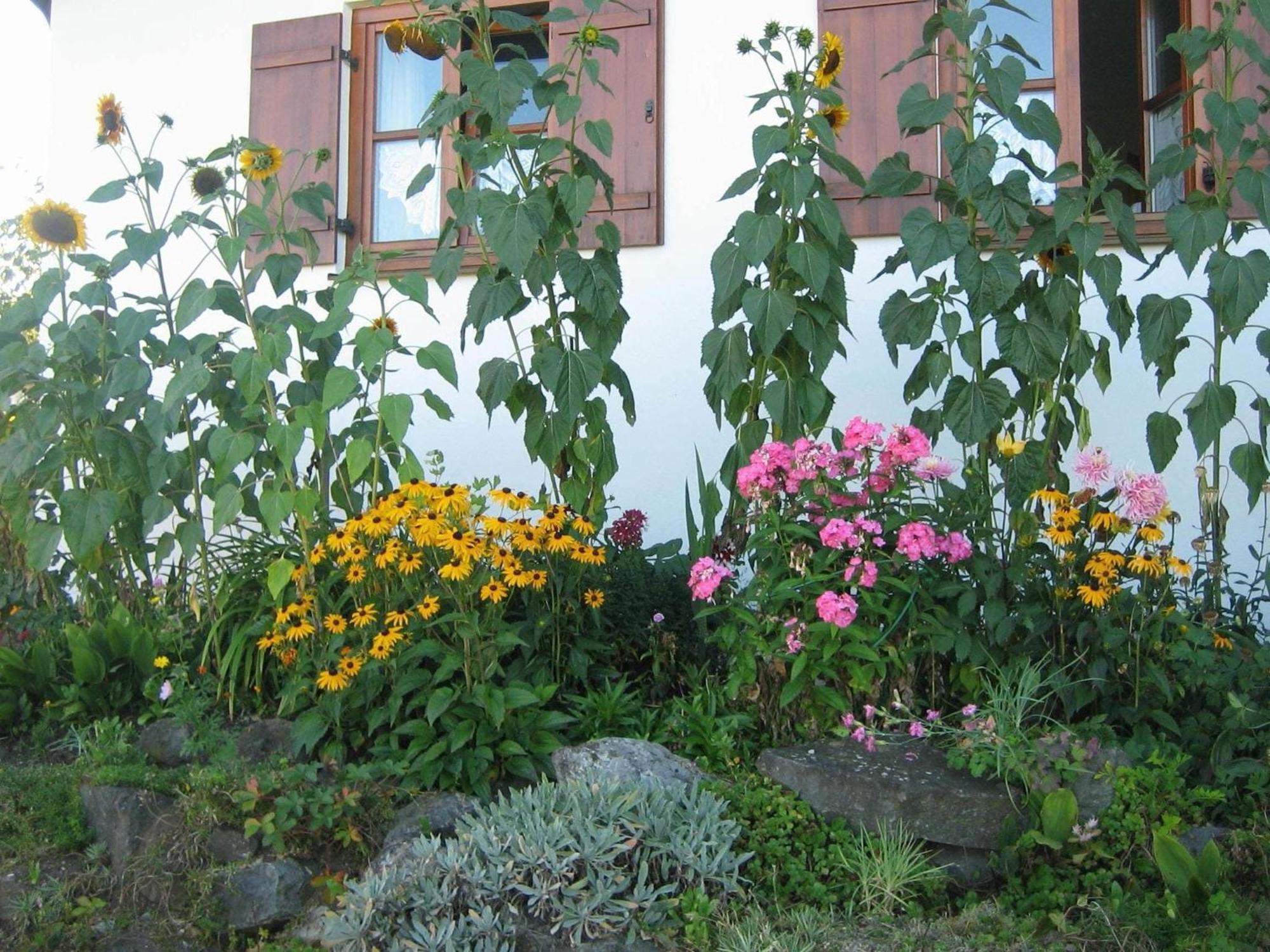 Apartment In The Allg U With View Of The Bavarian Alps Bernbeuren Dış mekan fotoğraf